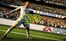 中国体彩网_佩德罗-内托，力挺马雷斯卡，直言球队失利的责任在于全队—解析一场失利背后的声音与未来