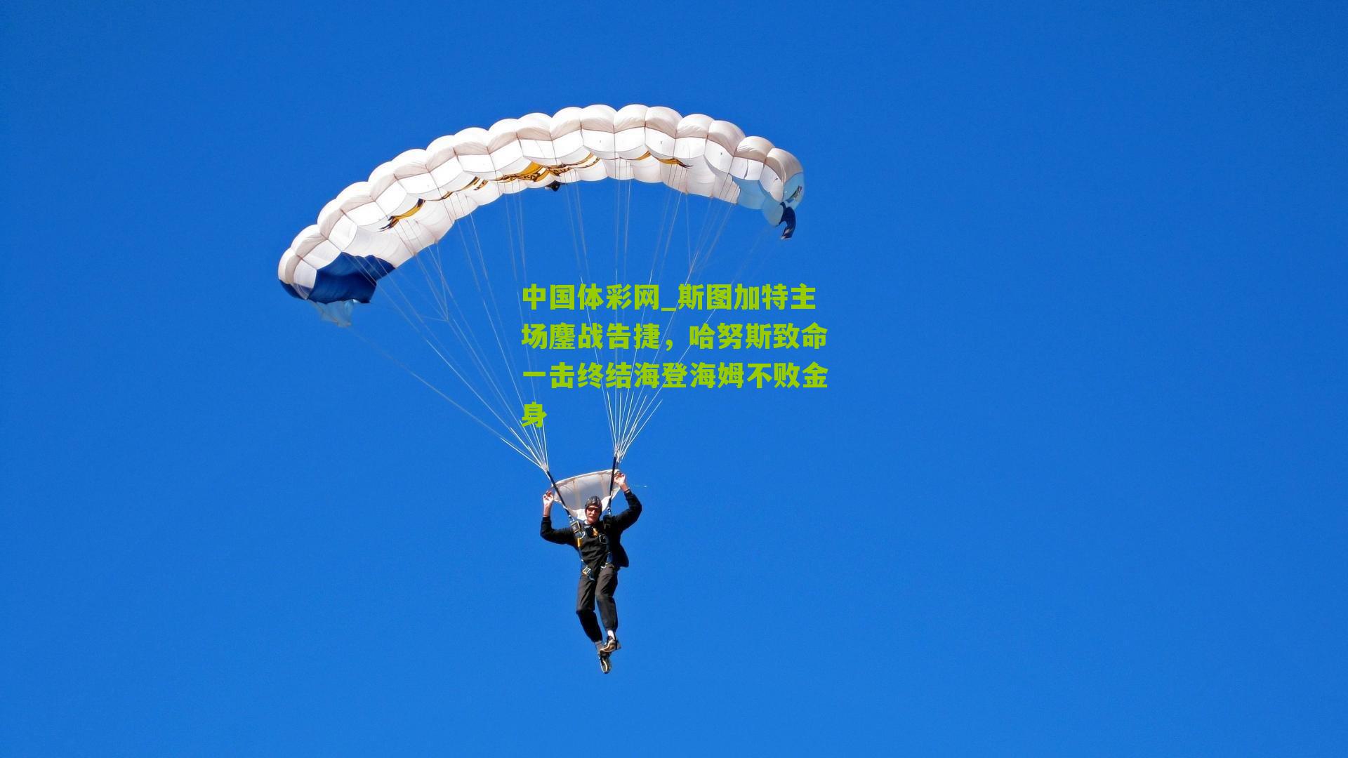 斯图加特主场鏖战告捷，哈努斯致命一击终结海登海姆不败金身